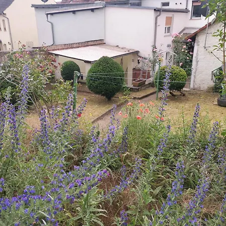 Apartment Ein Idyll An Der Stadtmauer